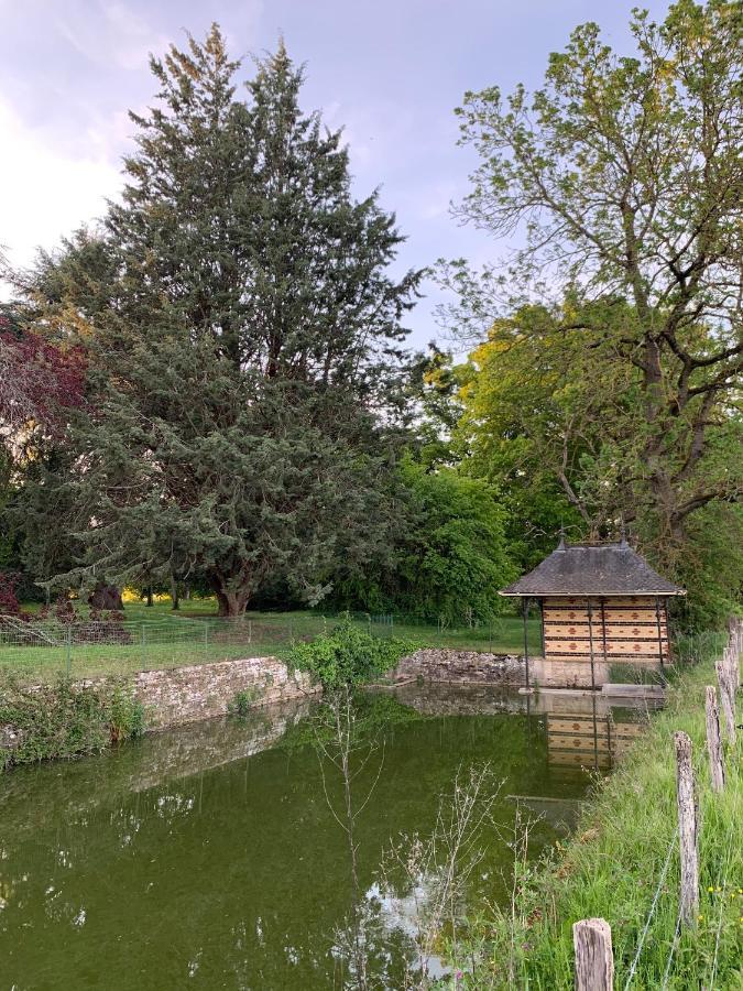 Chateau Du Mauny, Gites Et Chambres D'Hotes En Bourgogne Rosey Exterior foto